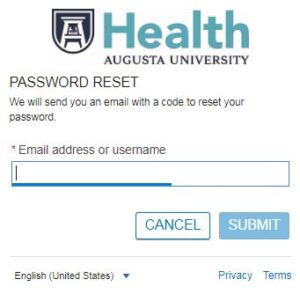 augusta university patient portal password reset