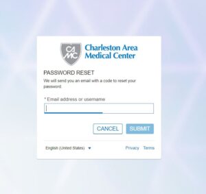 camc patient portal reset password