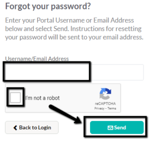 MSK Patient Portal password reset