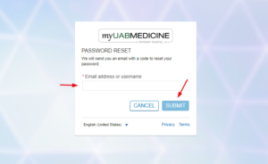 UAB Patient Portal password reset