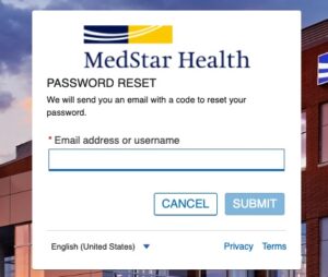 MedStar Patient Portal Password