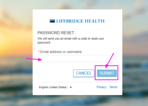 lifebridge patient portal reset password