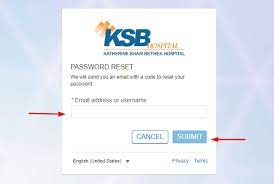 ksb patient portal password reset