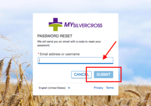 silver cross patient portal password reset