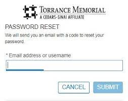 torrance memorial patient portal password reset